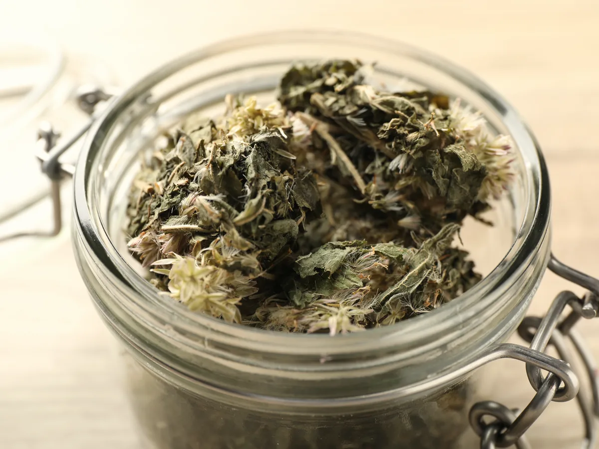 玻璃罐裡的乾燥草本