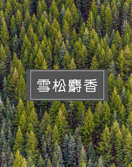 雪松麝香