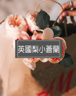 英國梨小蒼蘭