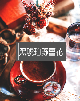黑琥珀野薑花