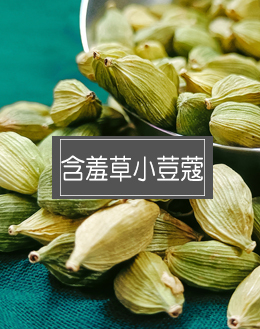 含羞草小荳蔻