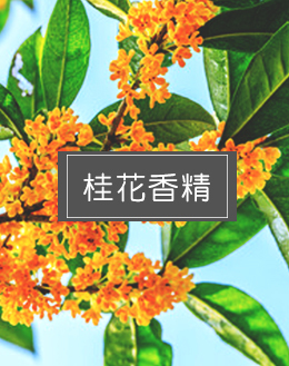 桂花