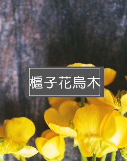 槴子花烏木