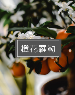 橙花羅勒香精